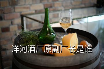 洋河酒廠原副廠長是誰