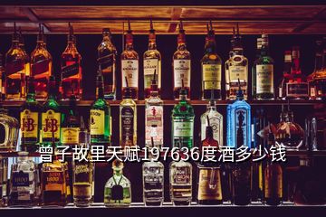 曾子故里天賦197636度酒多少錢