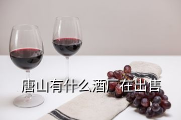 唐山有什么酒廠在出售