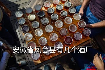 安徽省鳳臺(tái)縣有幾個(gè)酒廠