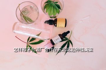 怎樣和茅臺酒廠合作在東北這邊種植高粱