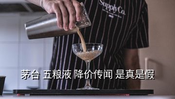 茅臺 五糧液 降價傳聞 是真是假