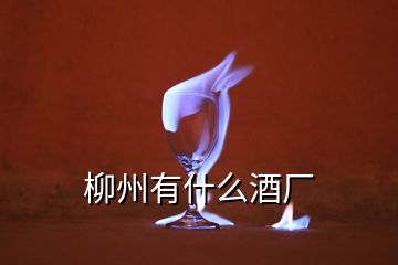 柳州有什么酒廠