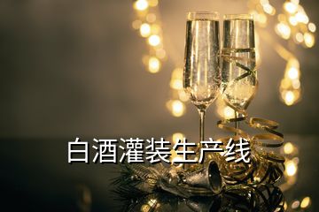 白酒灌裝生產(chǎn)線