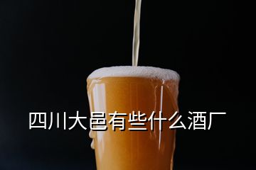 四川大邑有些什么酒廠