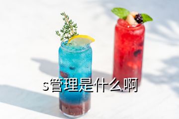 s管理是什么啊