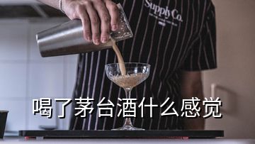 喝了茅臺酒什么感覺