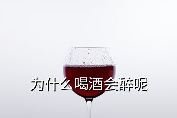 為什么喝酒會醉呢