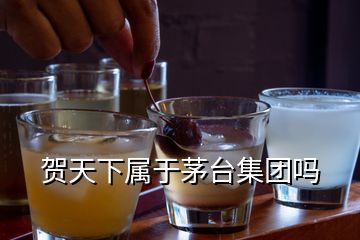 賀天下屬于茅臺集團(tuán)嗎