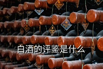 白酒的評鑒是什么