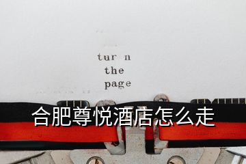合肥尊悅酒店怎么走