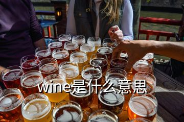 wine是什么意思