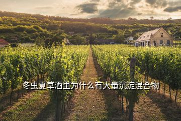 冬蟲夏草酒里為什么有大量沉淀混合物