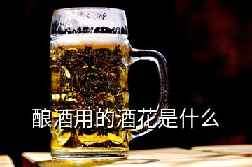 釀酒用的酒花是什么