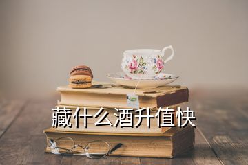 藏什么酒升值快