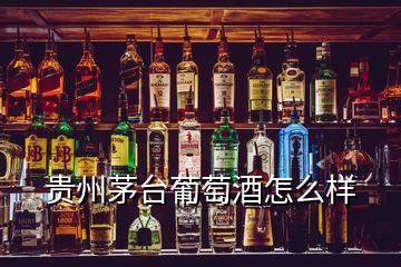 貴州茅臺(tái)葡萄酒怎么樣