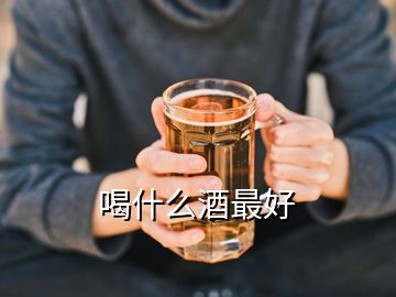 喝什么酒最好