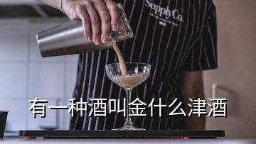 有一種酒叫金什么津酒