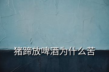 豬蹄放啤酒為什么苦