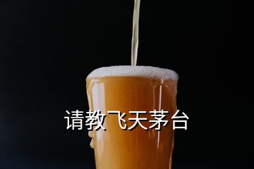 請教飛天茅臺