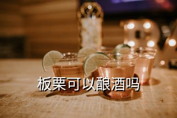 板栗可以釀酒嗎