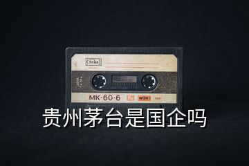貴州茅臺是國企嗎