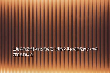 土炮喝的是情懷啤酒喝的是江湖情義茅臺喝的是面子XO喝的是逼格紅酒