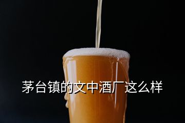 茅臺(tái)鎮(zhèn)的文中酒廠這么樣