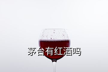 茅臺(tái)有紅酒嗎