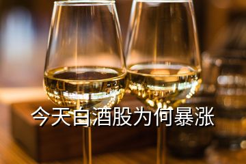 今天白酒股為何暴漲