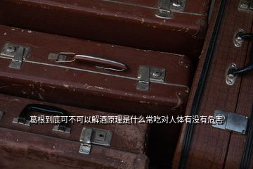 葛根到底可不可以解酒原理是什么常吃對人體有沒有危害