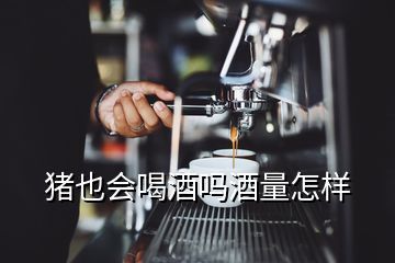 豬也會(huì)喝酒嗎酒量怎樣