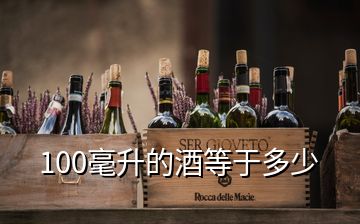 100毫升的酒等于多少