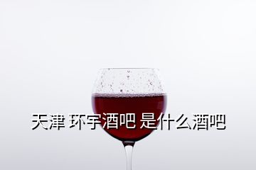 天津 環(huán)宇酒吧 是什么酒吧