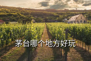 茅臺(tái)哪個(gè)地方好玩