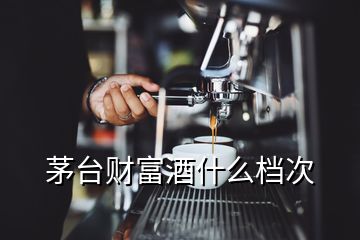 茅臺(tái)財(cái)富酒什么檔次