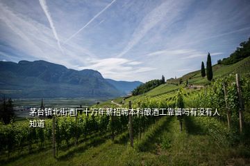 茅臺(tái)鎮(zhèn)北街酒廠十萬年薪招聘本科釀酒工靠譜嗎有沒有人知道