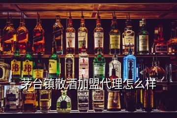 茅臺鎮(zhèn)散酒加盟代理怎么樣