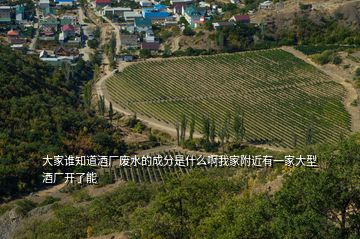 大家誰知道酒廠廢水的成分是什么啊我家附近有一家大型酒廠開了能