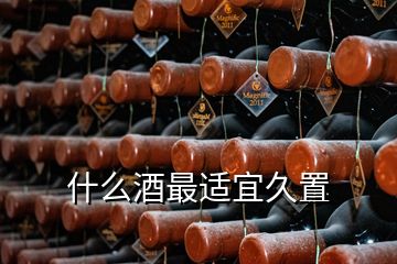 什么酒最適宜久置