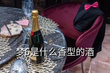 夢(mèng)6是什么香型的酒