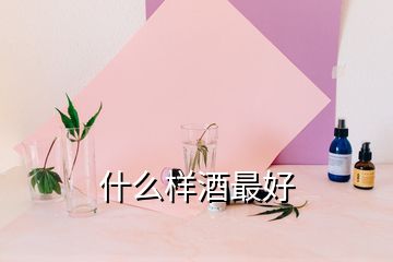 什么樣酒最好