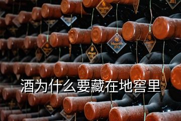 酒為什么要藏在地窖里