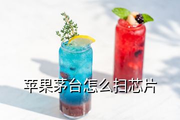 蘋果茅臺怎么掃芯片