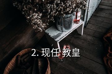 2. 現(xiàn)任 教皇