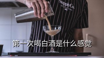 第一次喝白酒是什么感覺