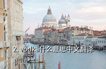 2. vodka什么意思中文翻譯