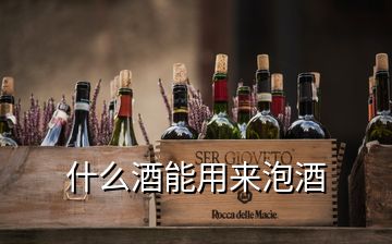 什么酒能用來(lái)泡酒