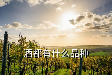 酒都有什么品種