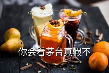 你會(huì)看茅臺(tái)真假不